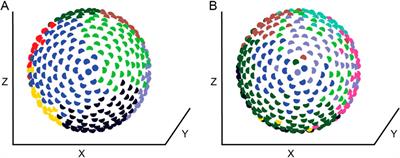 Adaptive rewiring: a general principle for neural network development